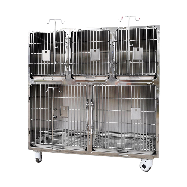 Combined stainless steel foster care (hospitalized) pet cage - 5 doors on the second floor