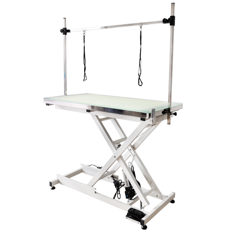 Electric lift pet grooming table Veterinary LED examination table