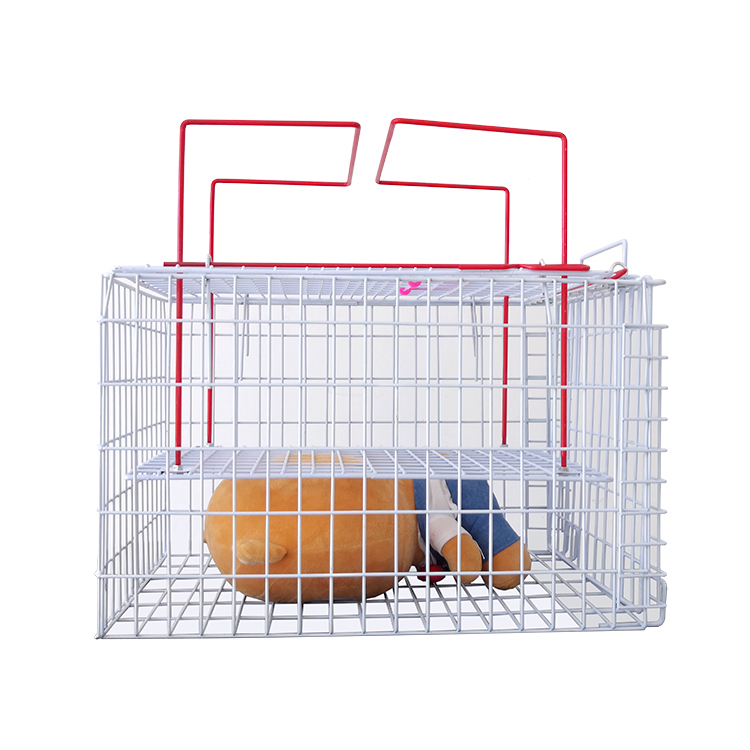 Wholesale Cat Bath Cage Injection Sustainable Cat Boarding Cages anti-scratch bite Cat Restriction Cage for Pet Clinic