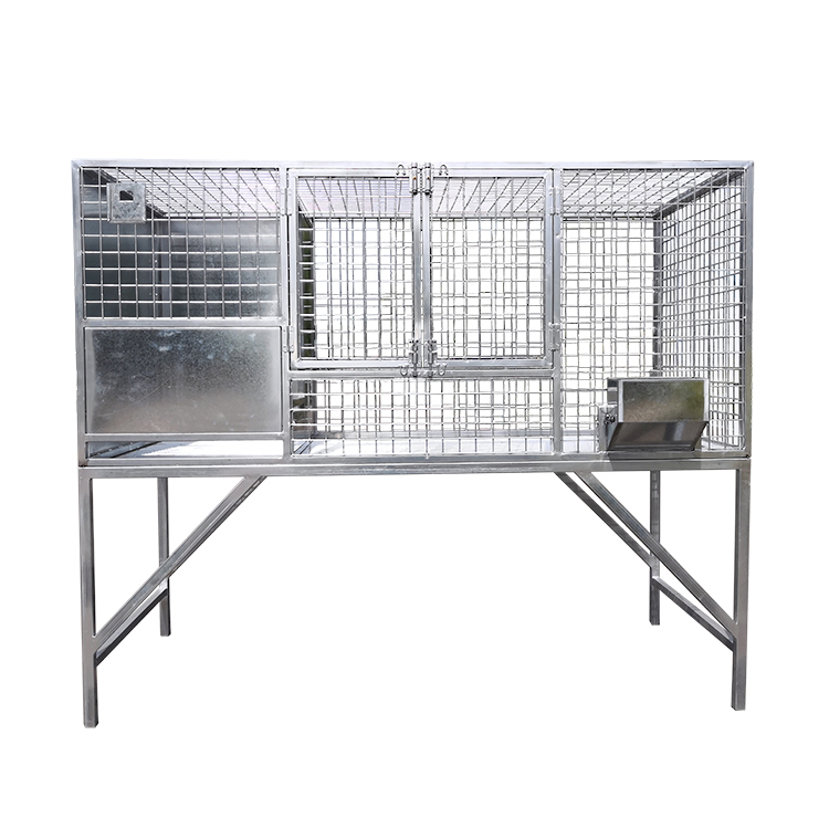 Pet Galvanized dog cages Pet breeding cages bulk purchase dog kennels for sale with feeders Animal production cage bed