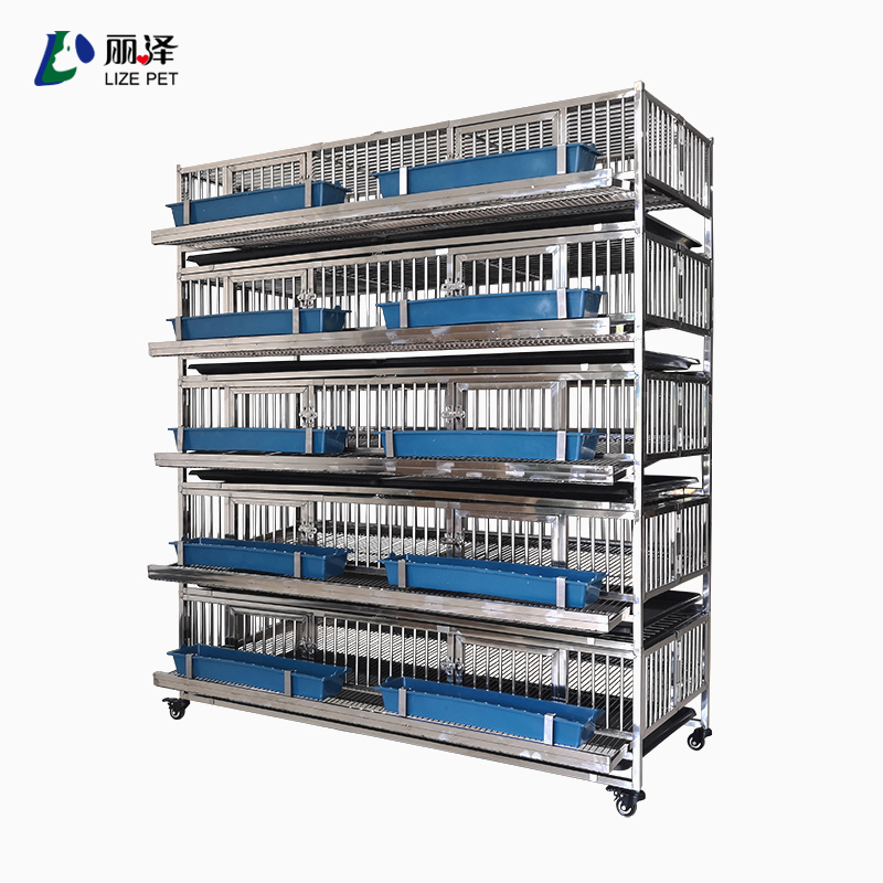 Stainless steel 5-layer quail cage Quail egg collector Rutin chicken cage egg laying cages