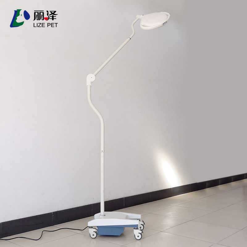 Medical Vet Surgical Equipment LED Wall Mounted Shadowless Operating Light Examination Lamp veterinary equipment