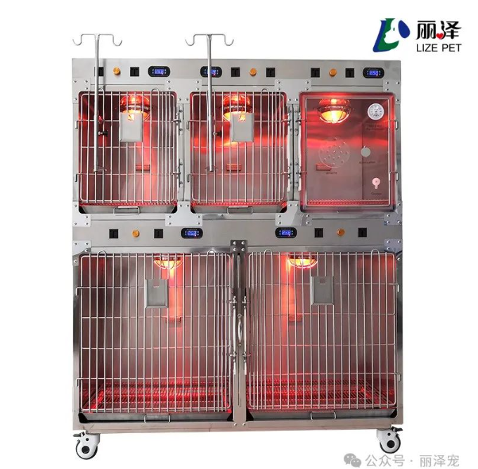 Stainless steel heavy duty 2nd floor 5 door vet warm lantern pet hospital cage