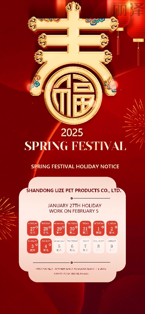 2025 Spring Festival Holiday Notice