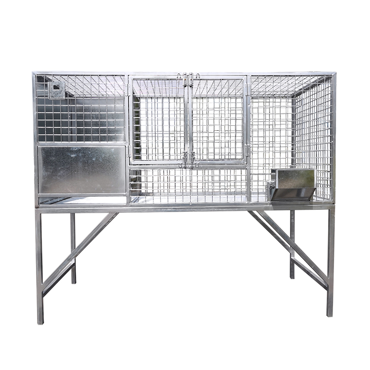 Premium Hot-Dip Galvanized Dog Cages: Built for Durability and Safety