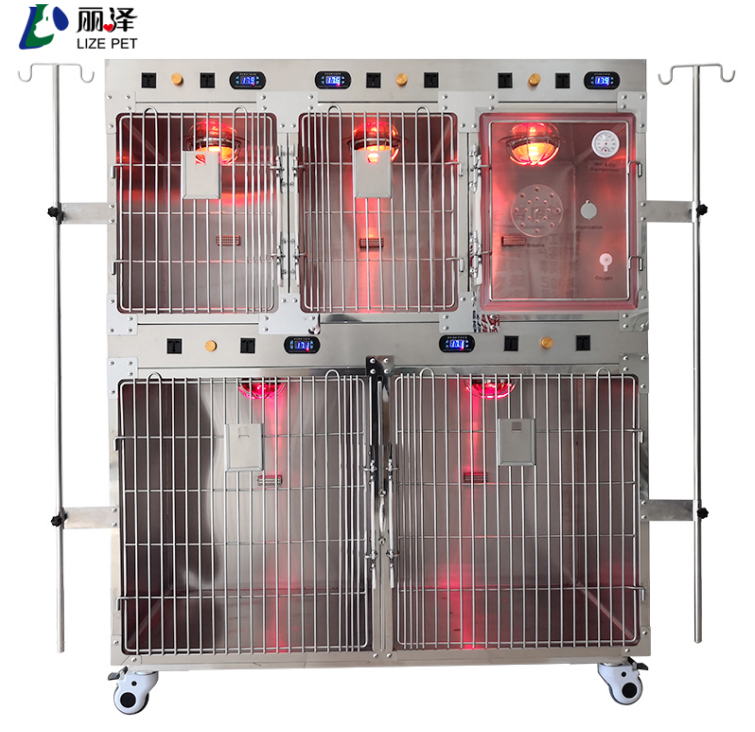 Heavy duty stainless steel 2nd floor 5 doors - dry warm lantern ICU cage